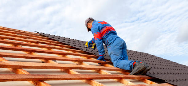 Best Skylight Installation and Repair  in Highlands, NC